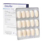 استئو فلکس - تصویر 2