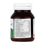 دیپ لانگ ساپورت - تصویر 2