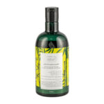 شامپو بدن دیپ سنس حاوی عصاره درخت چای و بامبو مناسب پوست چرب - تصویر 2