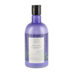 شامپو بدن دیپ سنس حاوی عصاره لوندر حجم 400 میلی لیتر - تصویر 2