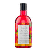 شامپو بدن دیپ سنس حاوی عصاره میوه ای مناسب پوست خشک و نرمال - تصویر 2