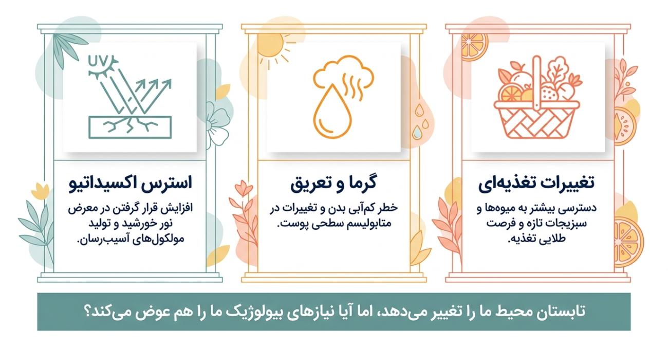 ویتامین C در تابستان