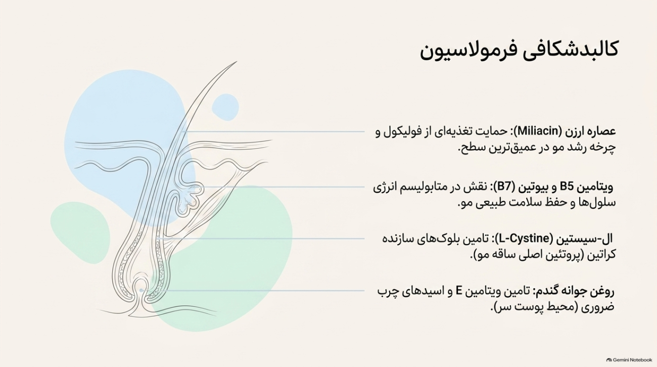 پریورین برای ریزش مو